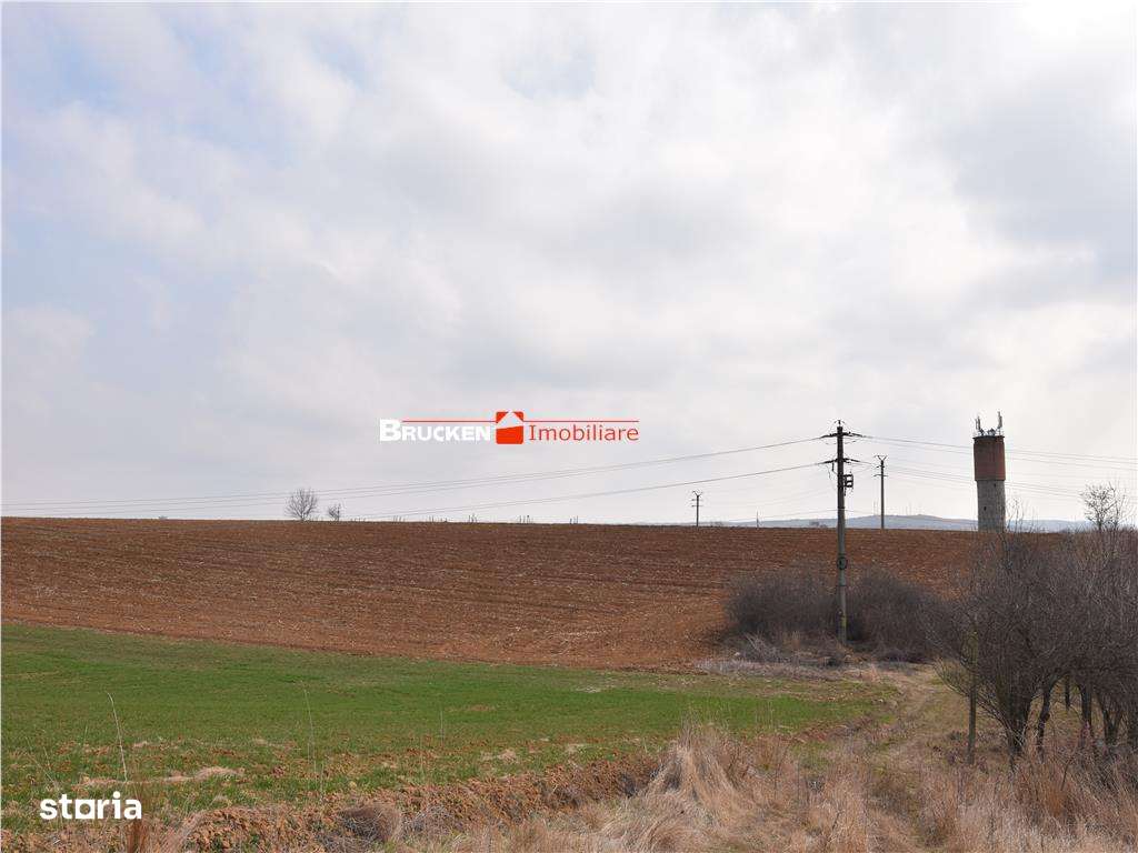 LOC DE CASA IN PETREU - Imagine principală: 5/5