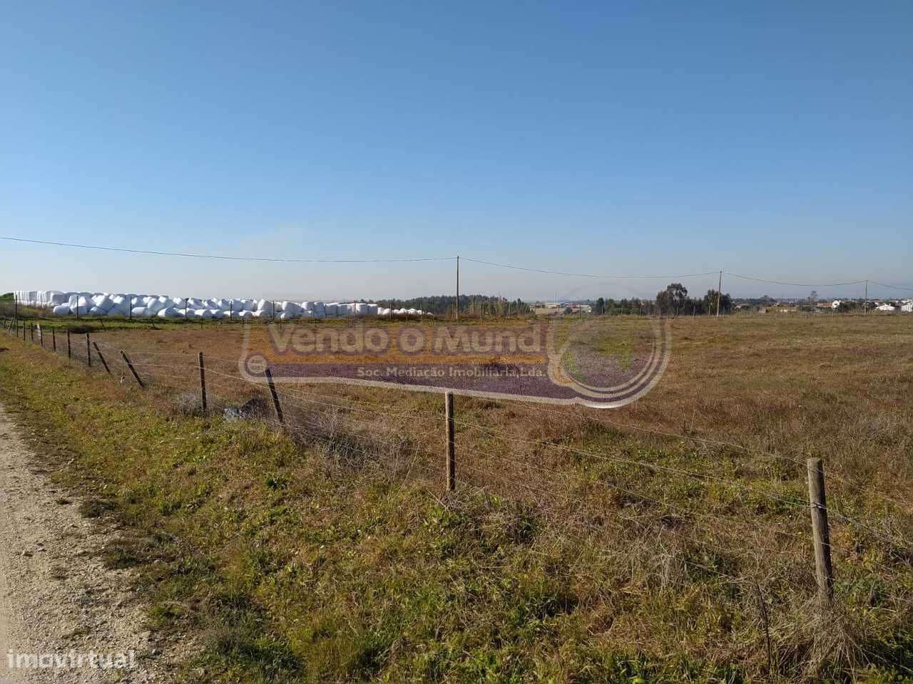 Terreno em Foros de Salvaterra (F615) - Grande imagem: 2/12