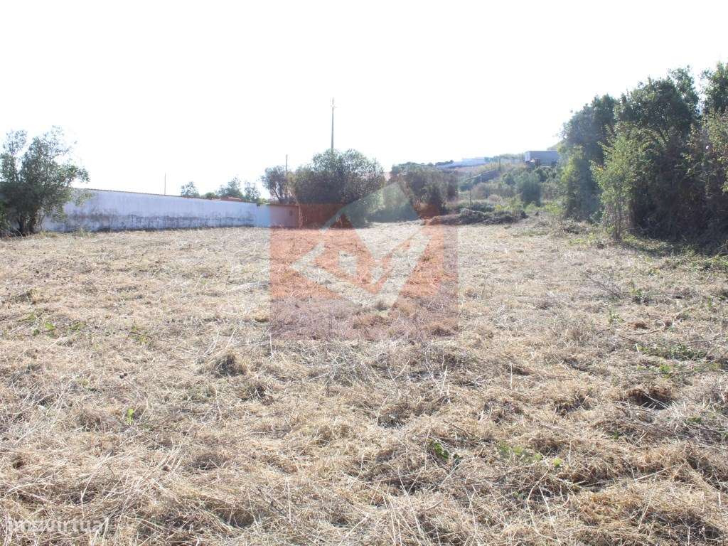 Terreno Rústico em Albogas-5