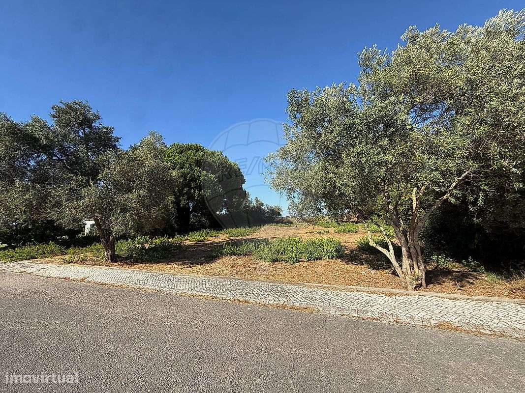 Terreno  para venda - Grande imagem: 3/3