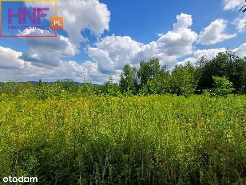 Działka budowlana w Rożnowie 7ar - Pełny obrazek: 4/20