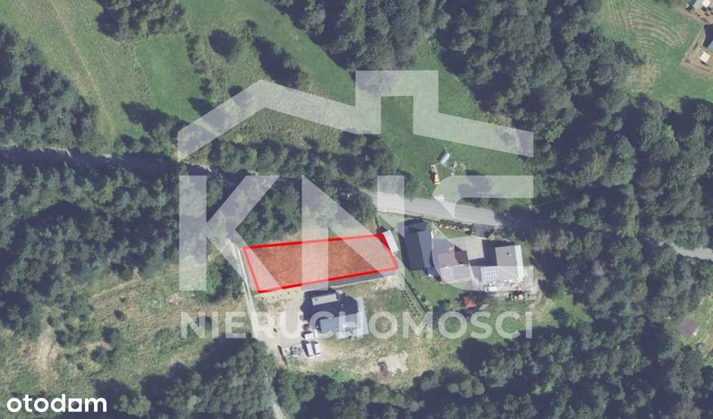 Działka przy lesie – Krzeszów – idealna pod domek! - Pełny obrazek: 4/6