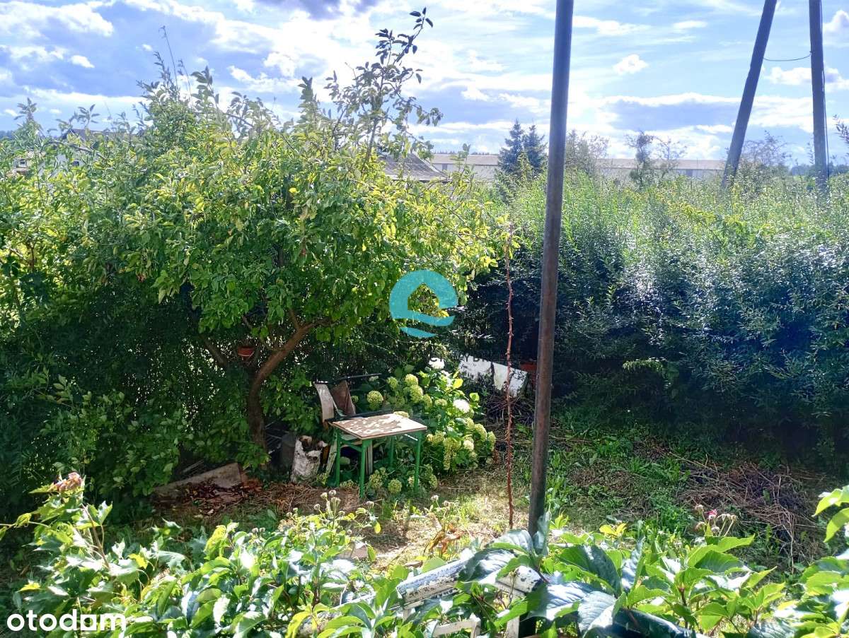 Mieszkanie 3 pokojowe w Piotraszewie-17