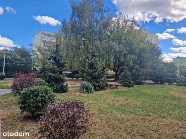 Mieszkanie na I piętrze-8