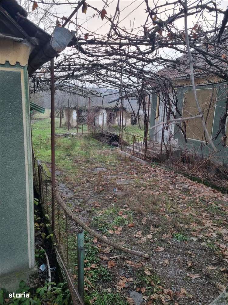 RECO Casa batraneasca cu teren generos in localitatea Tria-3