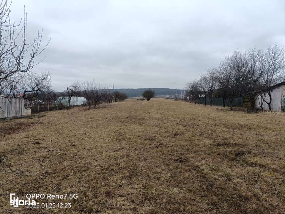 Teren de vanzare -Reghin - Iernuţeni 7000 mp - Imagine principală: 1/4