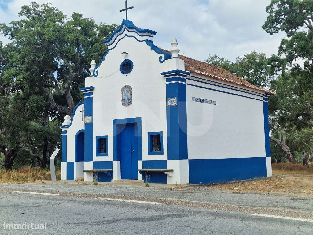 Terreno 14 HECTARES COM SOBREIROS E PINHEIROS-24