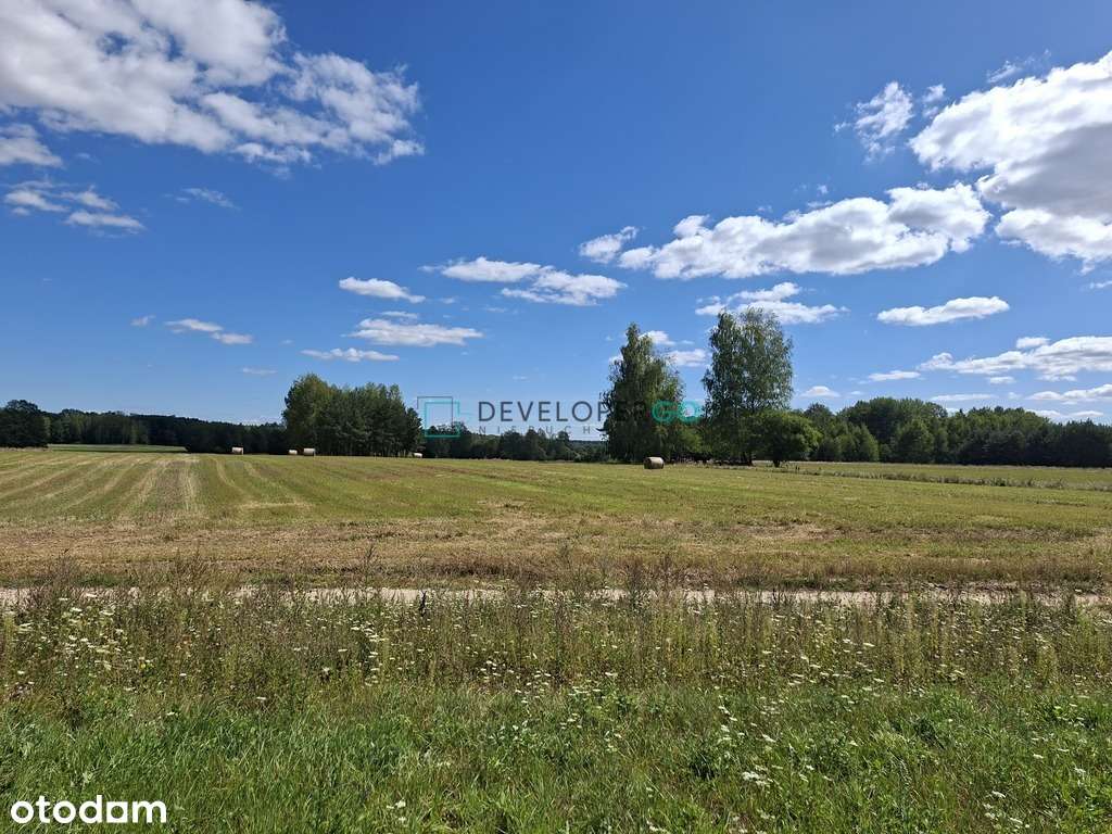 Olmonty - atrakcyjna działka z MPZP - Pełny obrazek: 4/7