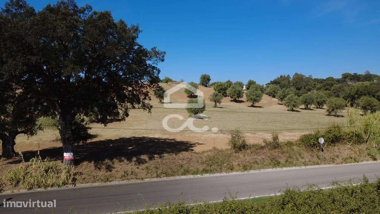 Terreno Rústico com 25.240 m² em Ferras, Gavata, Torres Novas – RAN-44