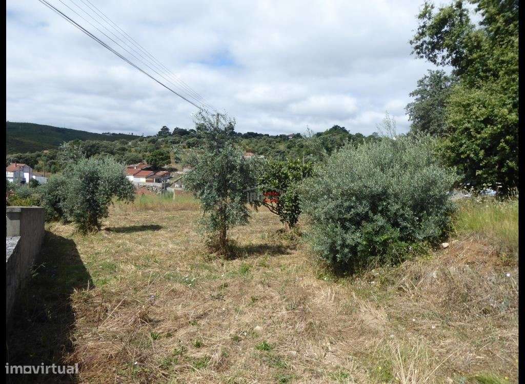 Terreno perto de Fátima - Grande imagem: 5/8