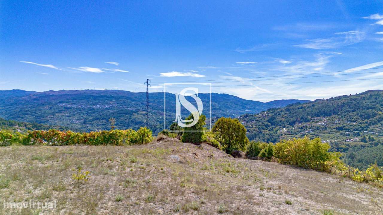 TERRENO RÚSTICO COM ANEXO AGRÍCOLA  – MESQUINHATA, BAIÃO - Grande imagem: 4/37