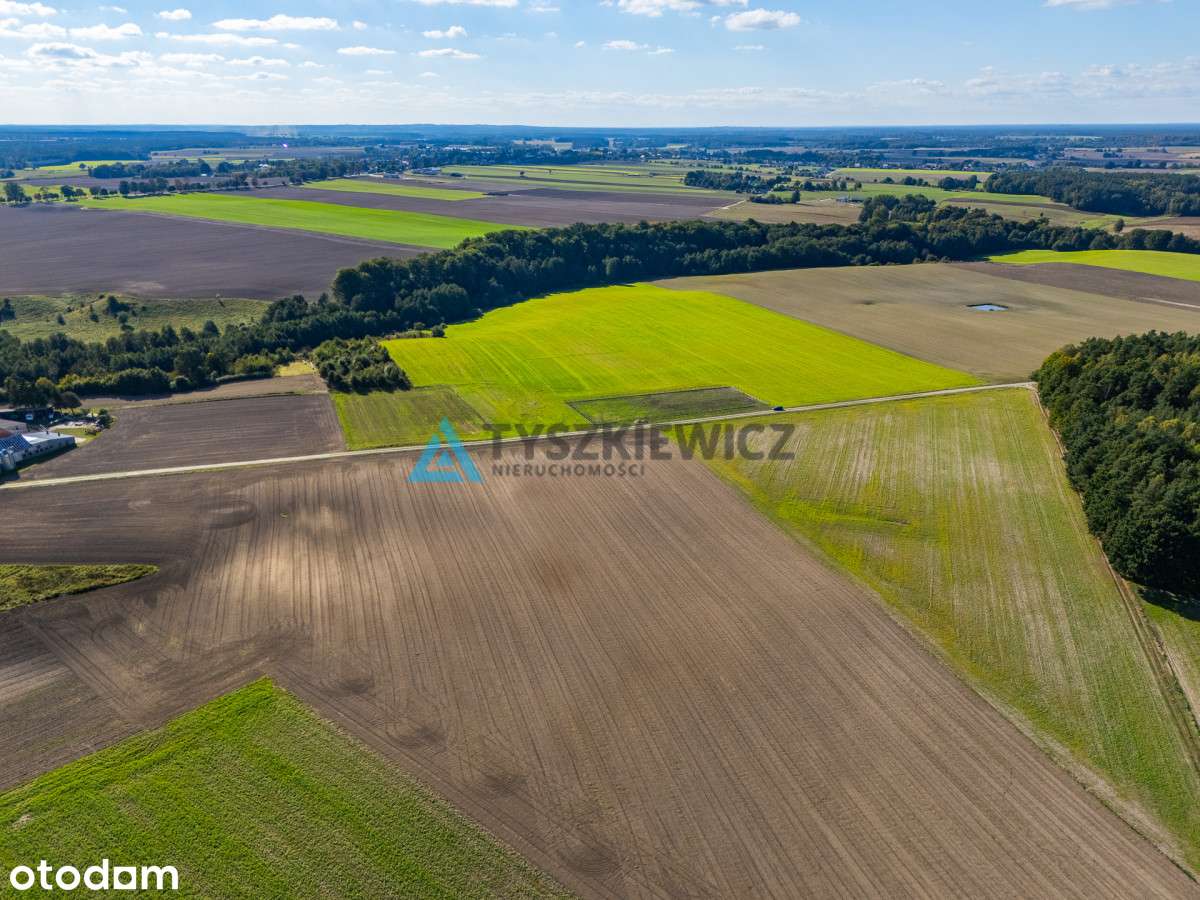 Enklawa ciszy i spokoju/Duża działka - Pełny obrazek: 4/17