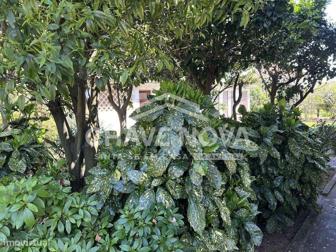 Moradia V3 , Serzedo - Grande imagem: 5/25