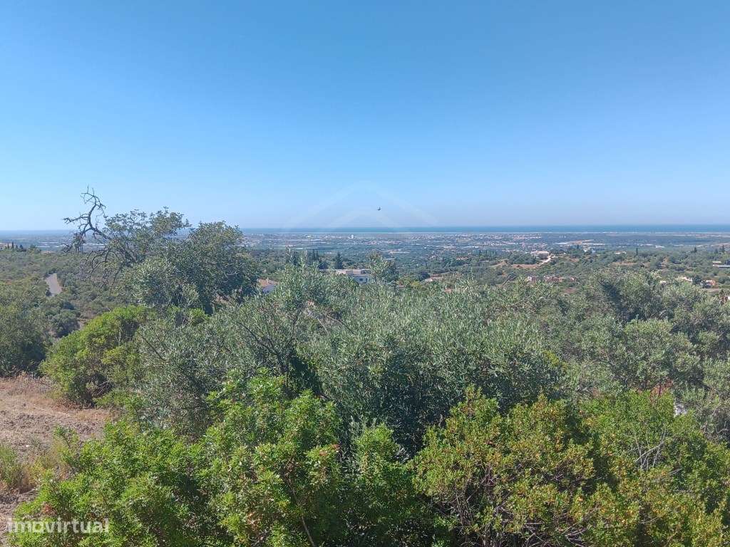 Terreno com ruína, vista mar, Santa Bárbara de Nexe, Faro, Algarve-15