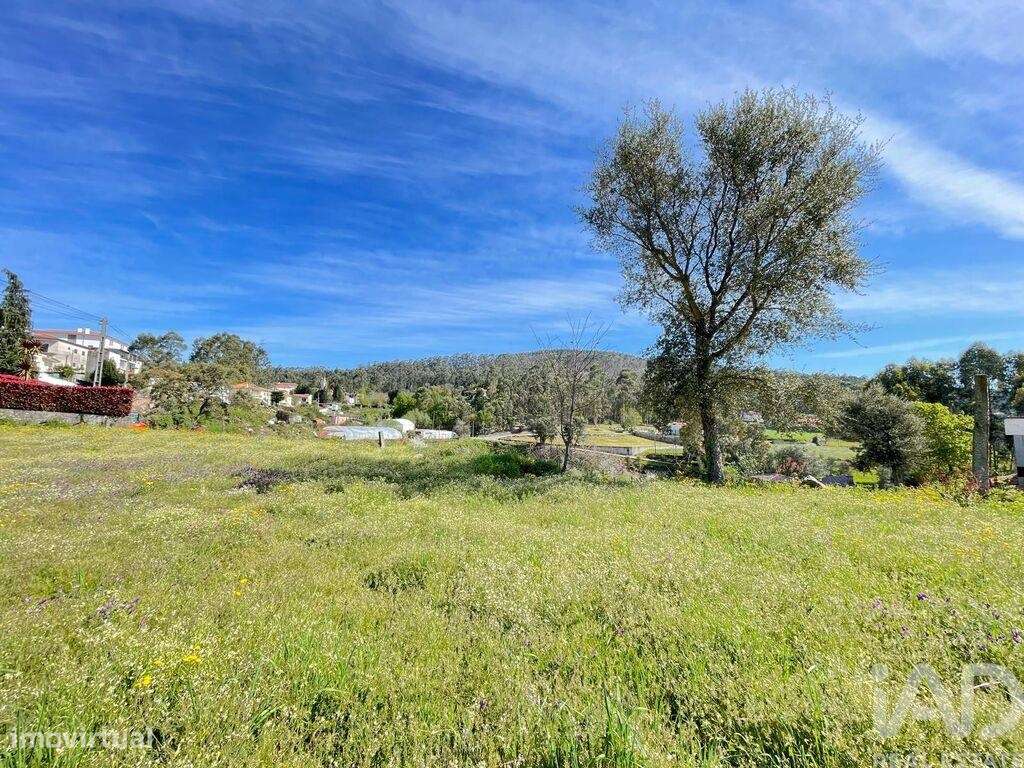 Terreno em Campo E Tamel (São Pedro Fins) de 1200,00 m2 - Grande imagem: 4/13
