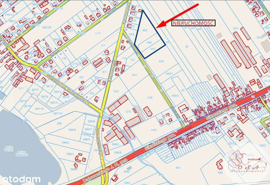 Działka z Mpzp 0,8 ha Dębienko k. Stęszewa-1