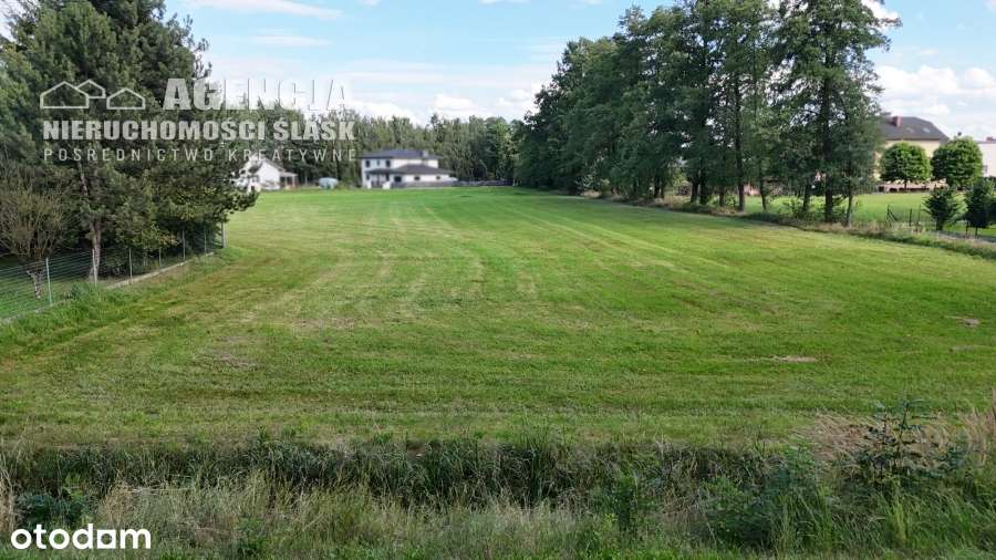 Działka usługowo-mieszkaniowa 1098m2, Mnich, ul. Cieszyńska - Pełny obrazek: 5/9