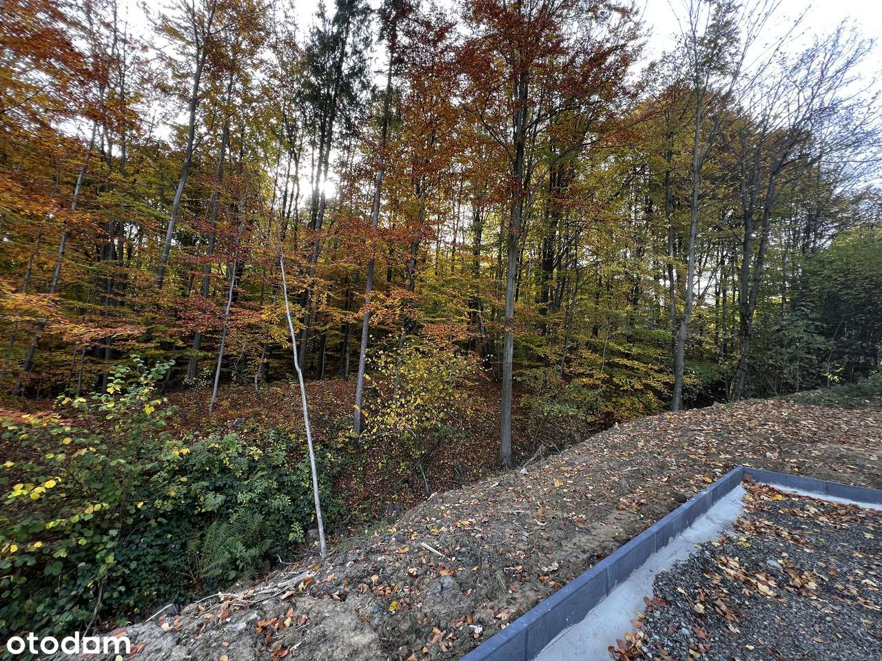 Dom z widokiem, prywatnym lasem i ciszą BEZ PROWIZJI-9