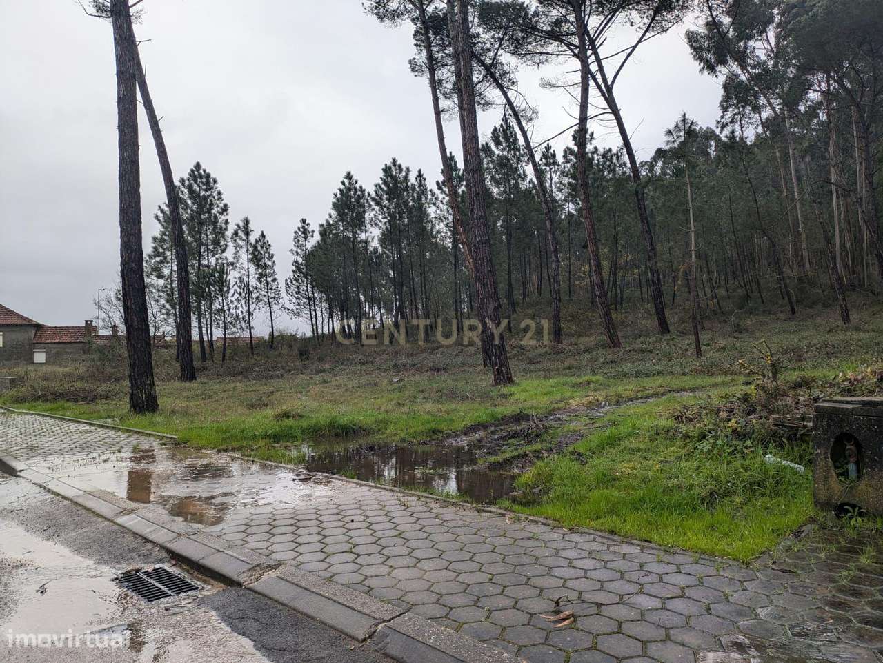 Terreno Urbano - Grande imagem: 5/8