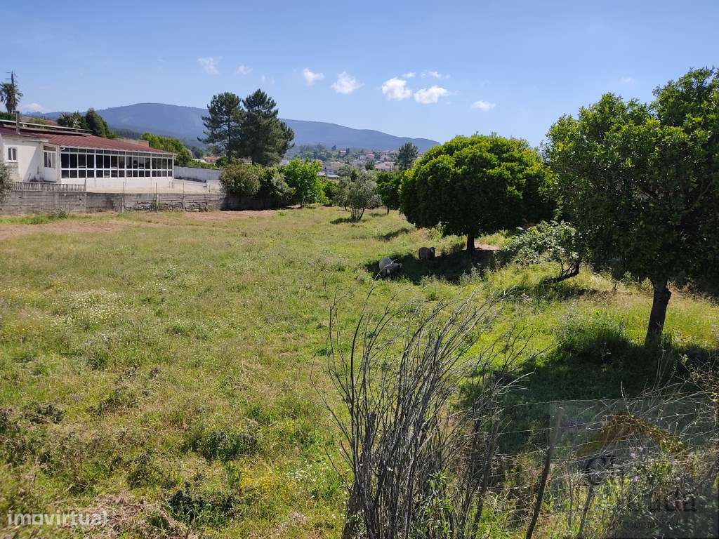 Terreno para urbanizar no centro da Pampilhosa. - Grande imagem: 4/5