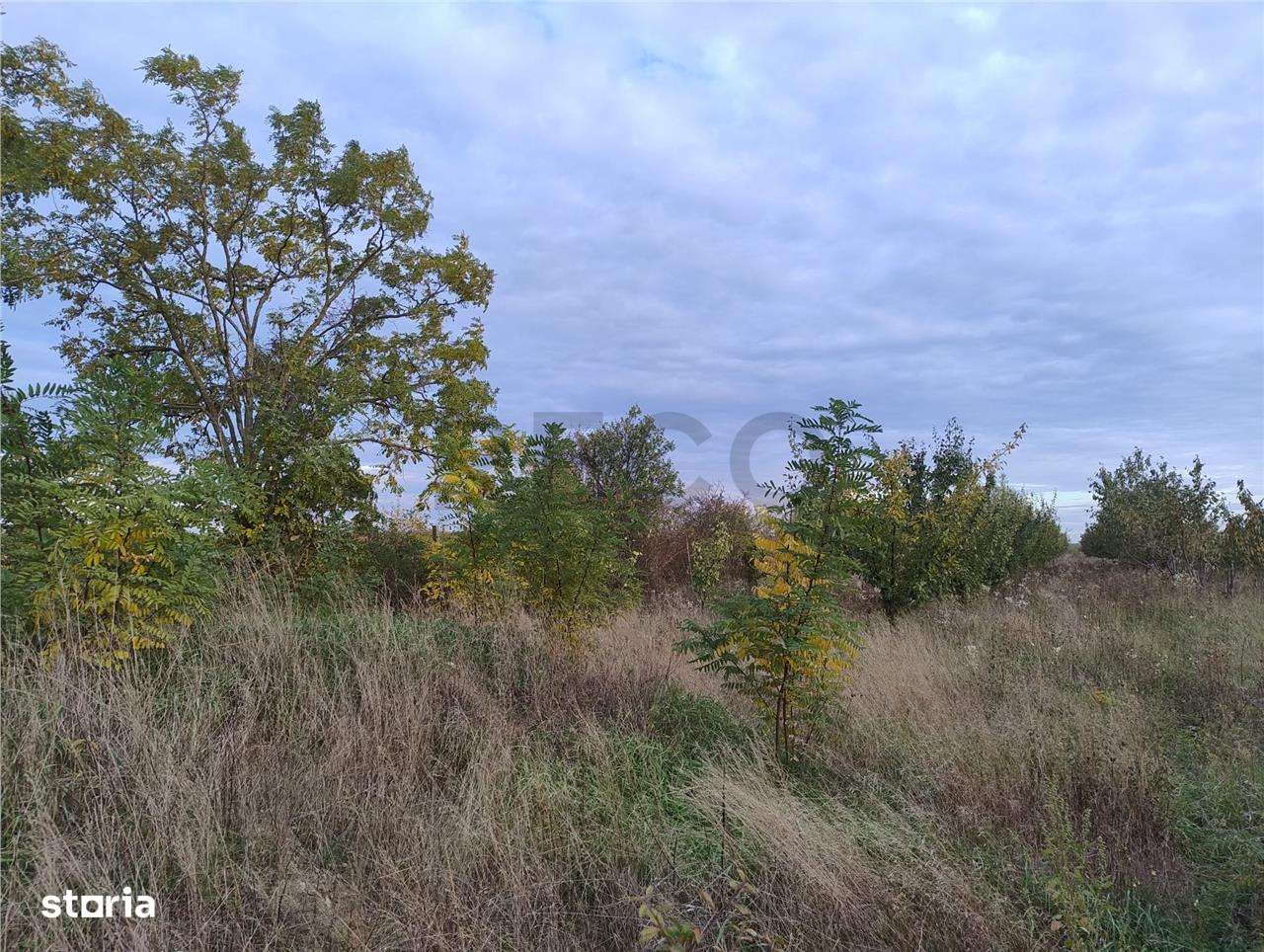 RECO Teren intravilan Miersig - Imagine principală: 4/5