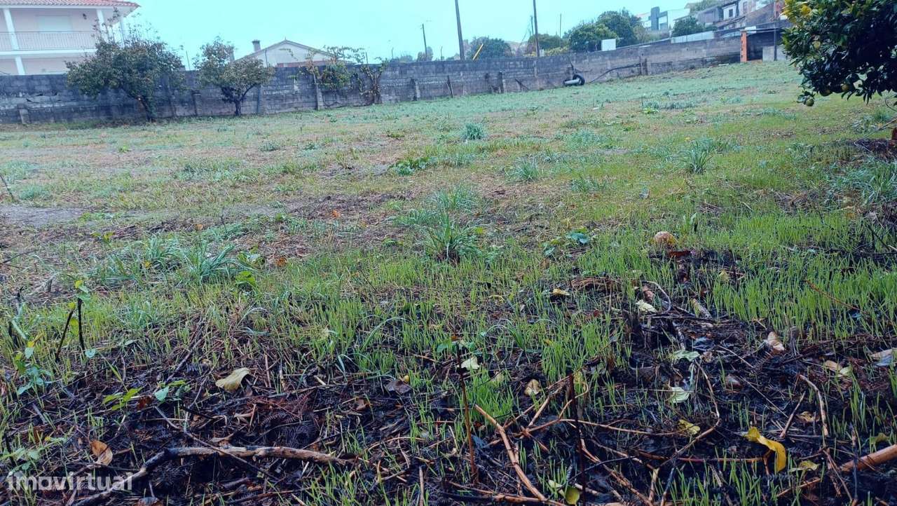 Terreno rústico, para venda, Estarreja - Canelas e Fermelã - Grande imagem: 4/6