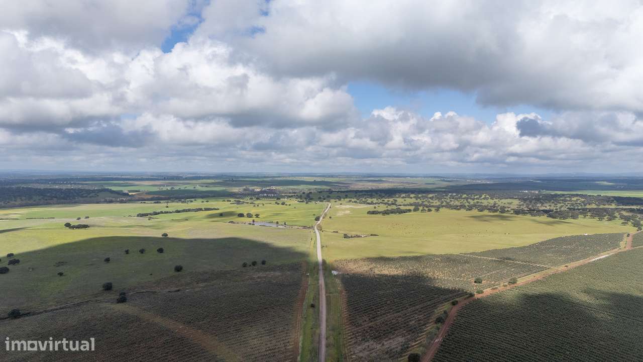 Herdade | Venda | Alentejo - Grande imagem: 5/8