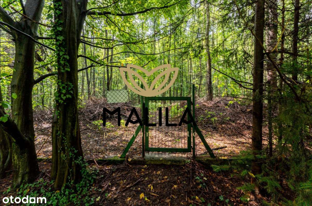 Piękne działki w Lusinie 100m od International School Prywatnie - Pełny obrazek: 4/4