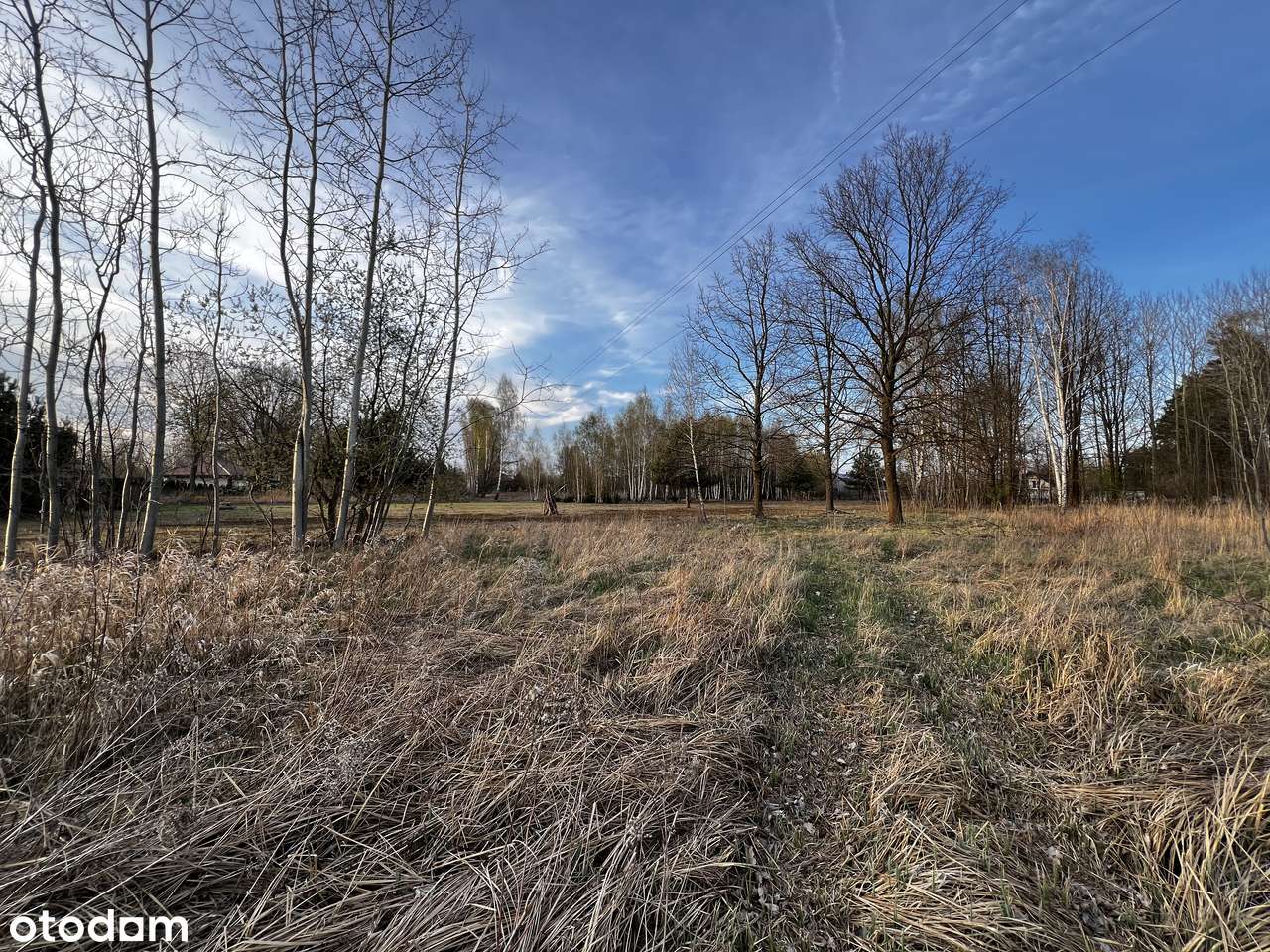 STARE BUDY ul.Chopina 11500m2 z warunakmi zabudowy - Pełny obrazek: 4/9