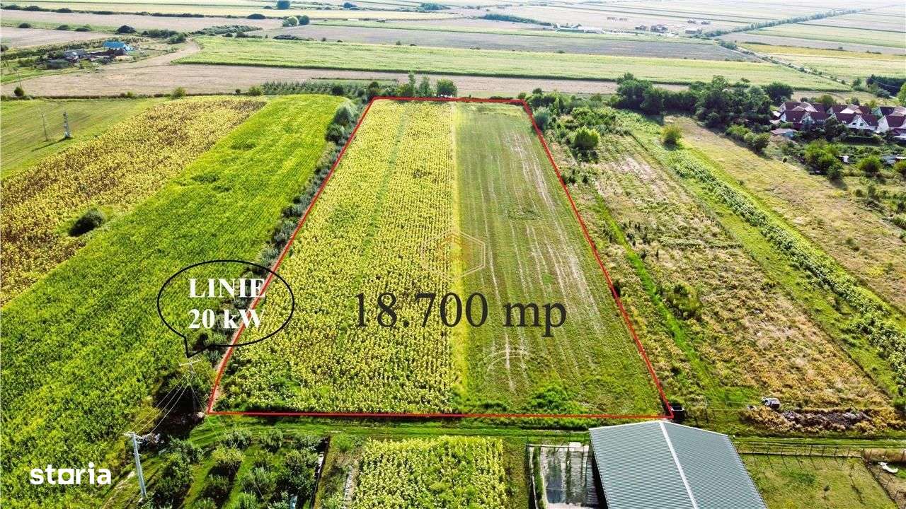 Dezvoltare rezidentiala: Teren pentru parcelare si construire case - Imagine principală: 2/7