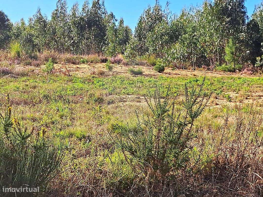 Terreno  para venda - Grande imagem: 3/15