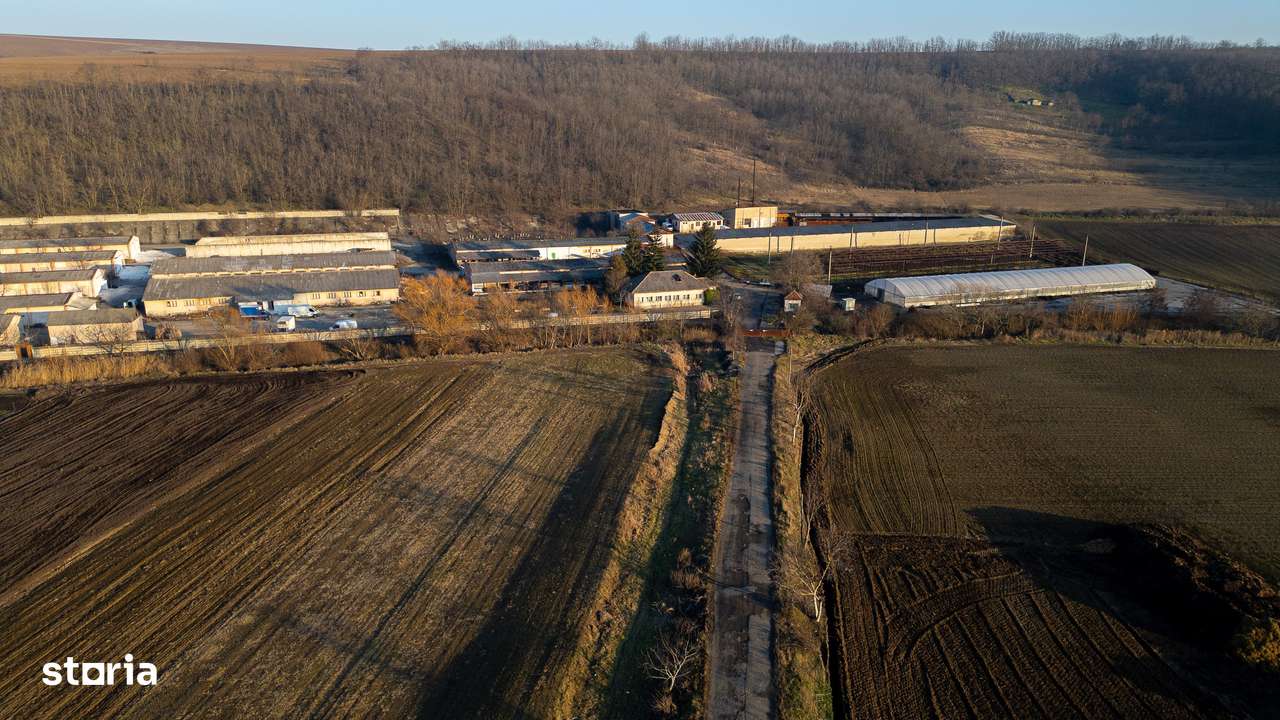 Fosta Ferma a Partidului de la Horgesti - de vanzare-5