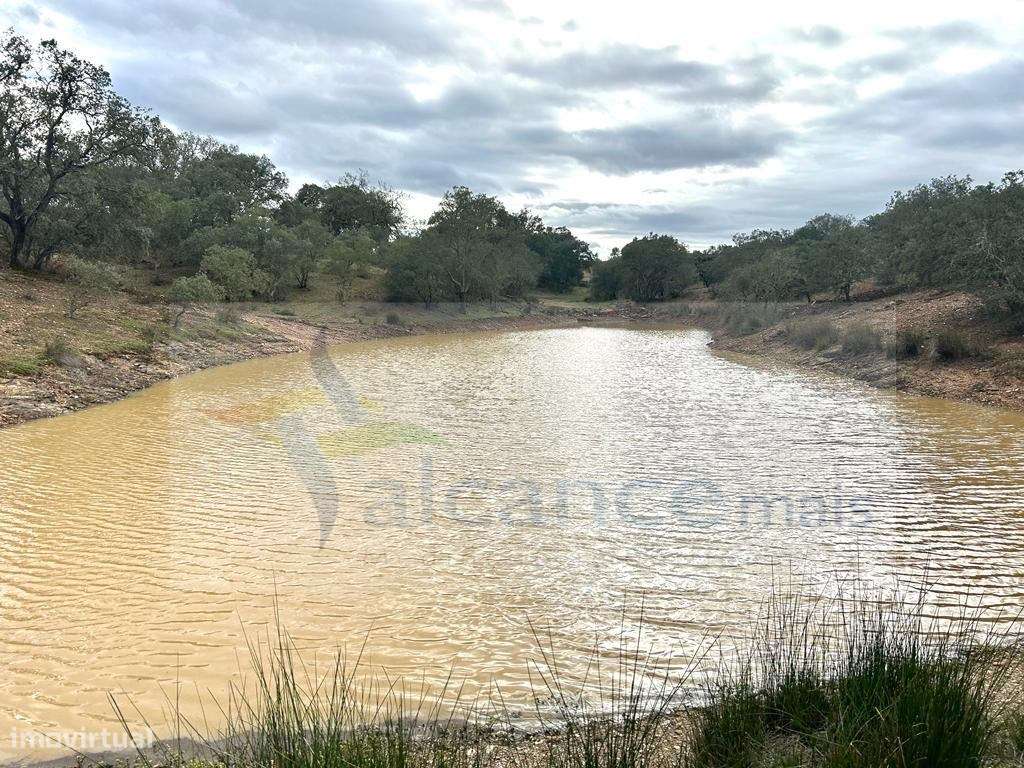 Monte Tipicamente Alentejano - 13 hectares - Baixo Alentejo (Vila V... - Grande imagem: 2/17
