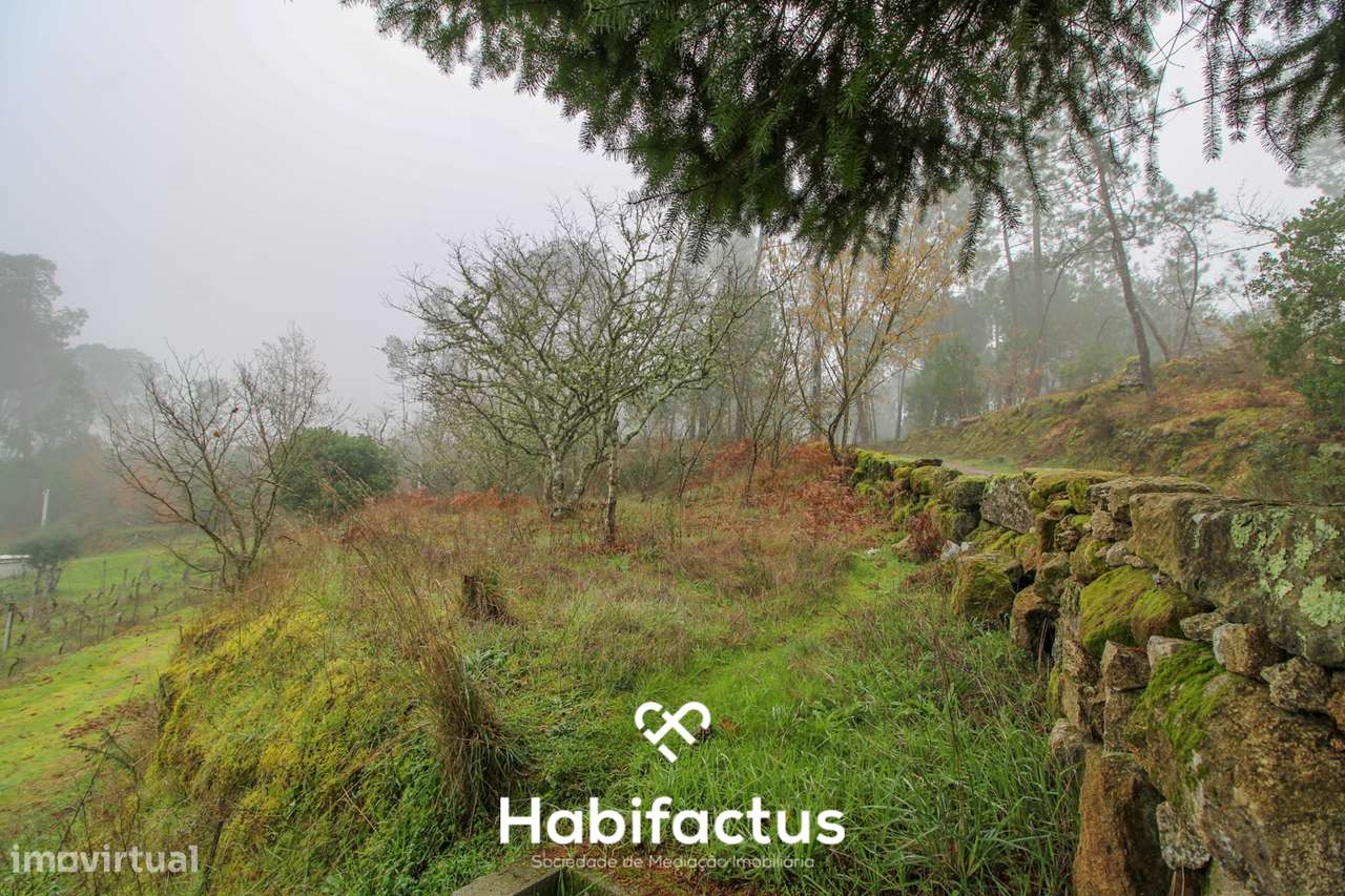 Quintinha  Venda em Fornos de Maceira Dão,Mangualde - Grande imagem: 4/25