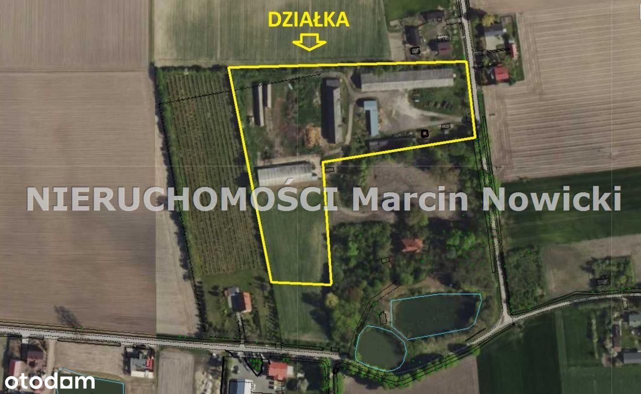 Działka, 21 100 m², Kaszewy Dworne