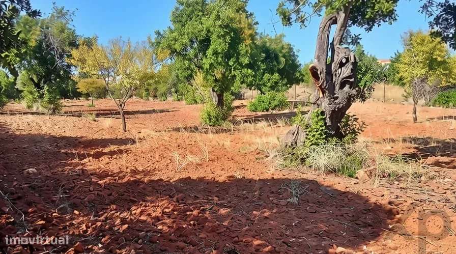 Terreno rústico plano com 4240 m2 no Algarve-3
