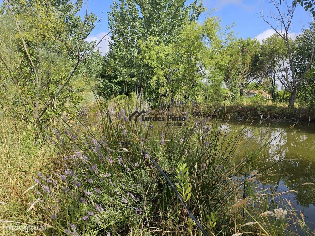 Quinta com habitação-2