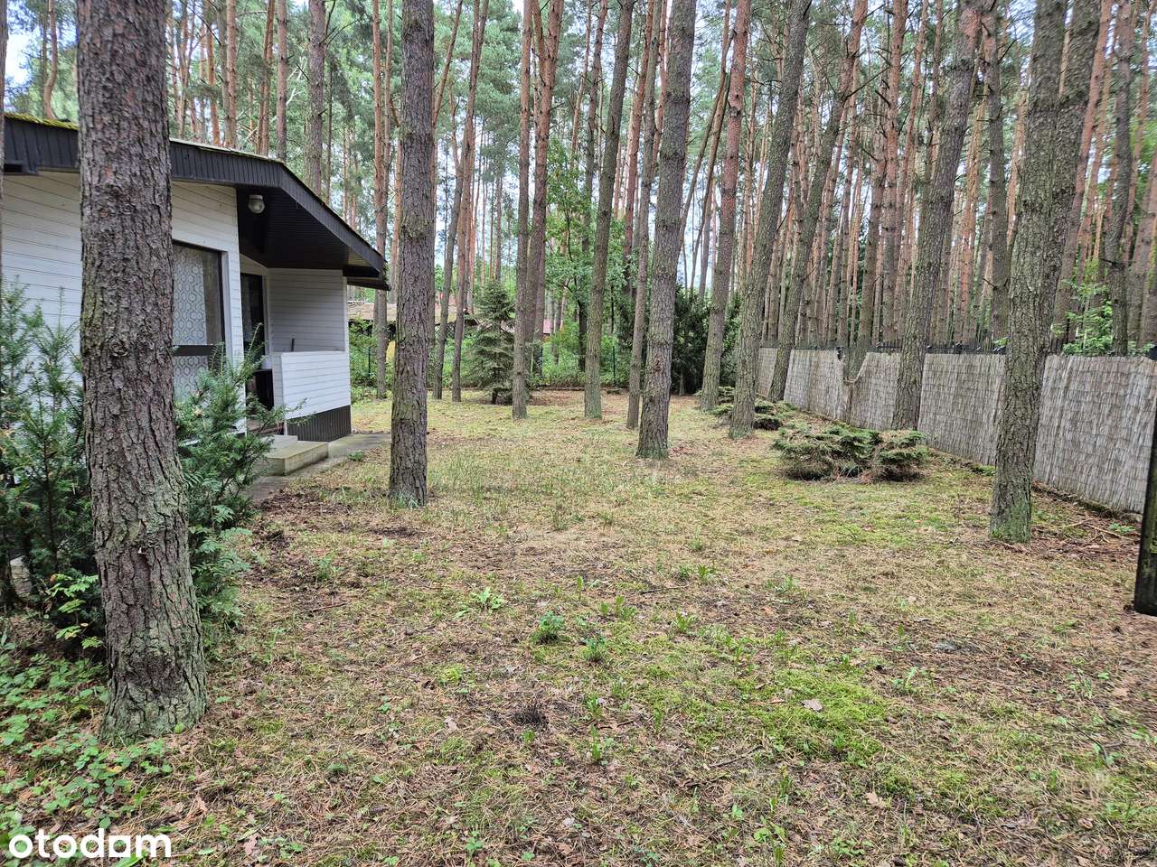 Działka 900 m² z domkiem letniskowym – Wrzosów (Jedlnia-Letnisko) - Pełny obrazek: 5/11