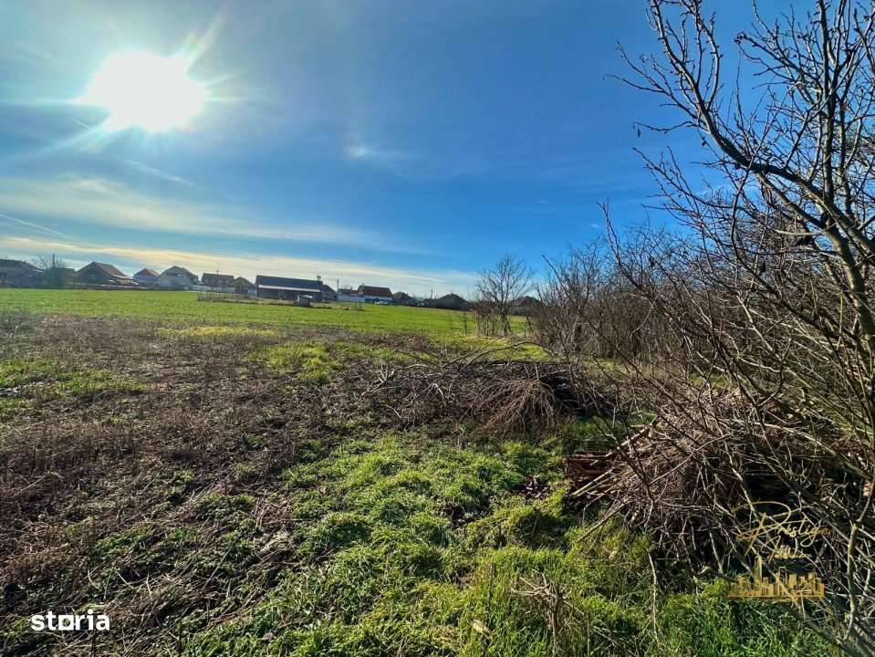 Teren de 1400 mp la strada principala in Salard - Bihor - Imagine principală: 3/9