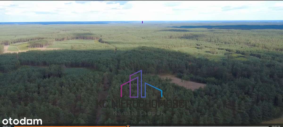 Zakład przemysłowy – hala 1590 m² + działka 1,8 ha-5