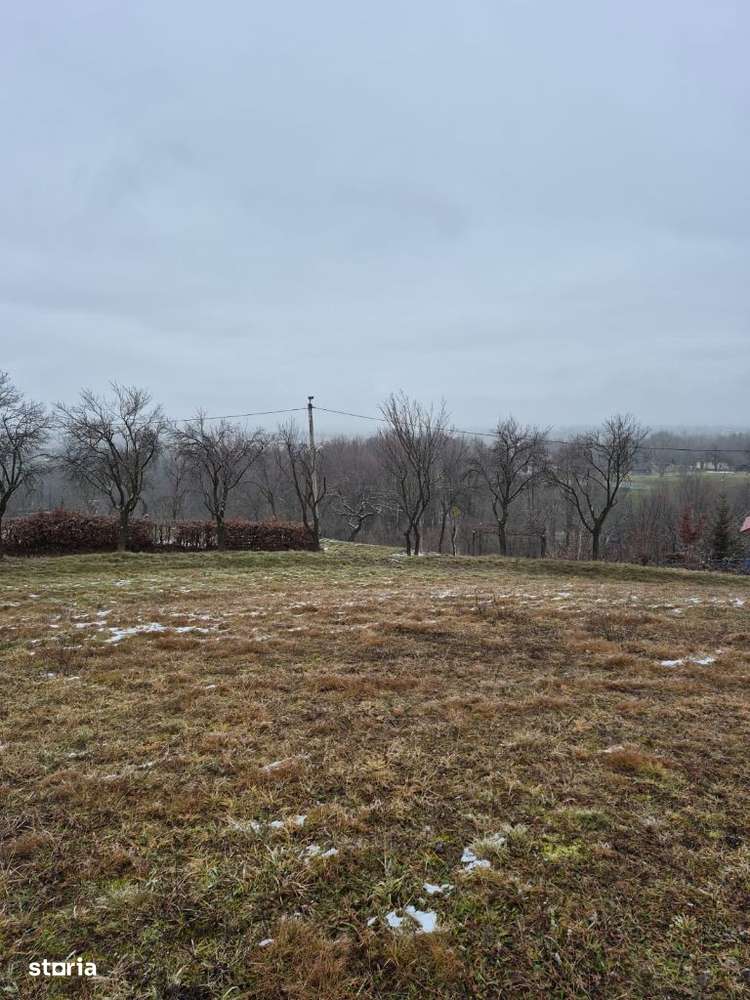 Coas, 15-30 ari teren - Imagine principală: 4/5