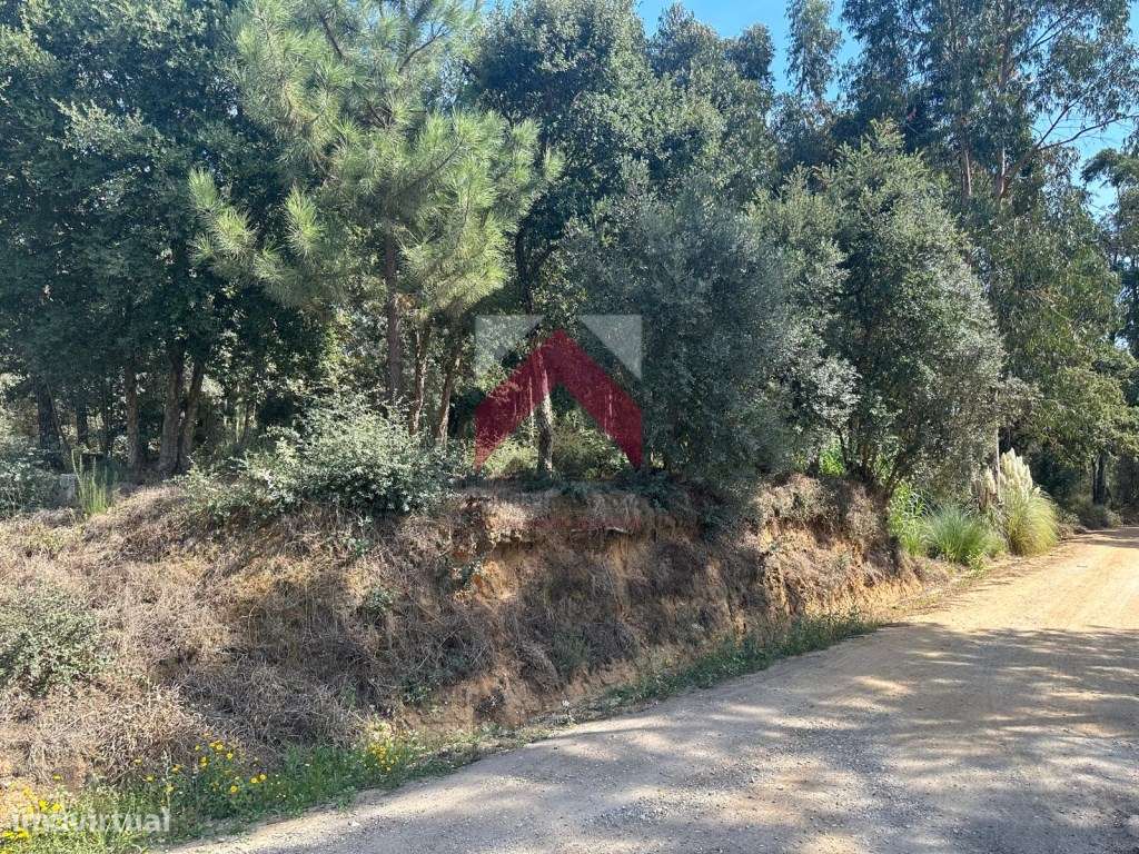 Terreno Plano, Oiã - Oliveira do Bairro - Grande imagem: 4/14