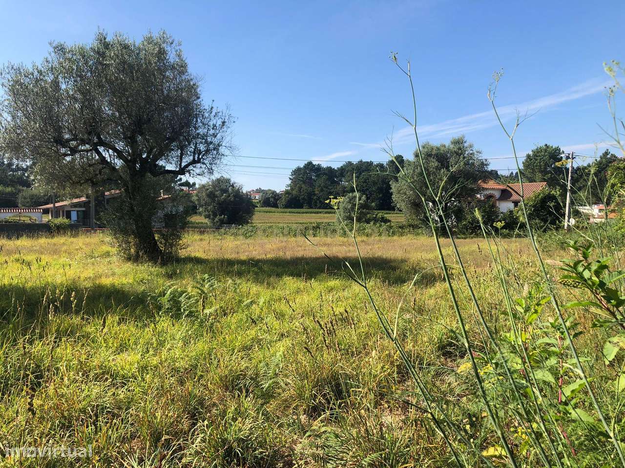 Lote de terreno de Construção com 872.5m2 Forjães-Esposende - Grande imagem: 4/13