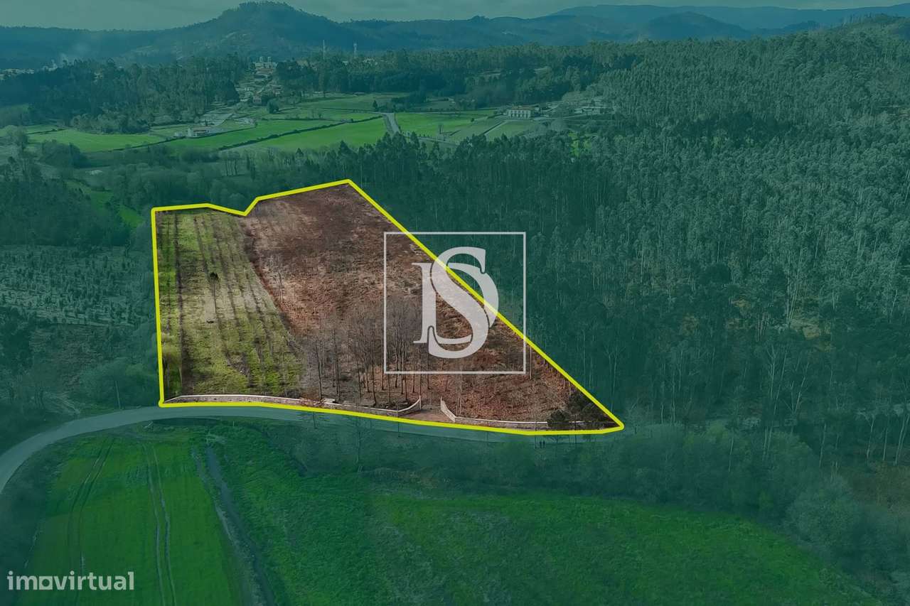 Terreno Agricola, plano e murado, em Ponte de Lima! - Grande imagem: 4/30