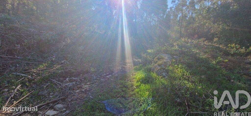 Terreno em Venda do Pinheiro e Santo Estêvão das Galés de 15374,00 m2 - Grande imagem: 4/10