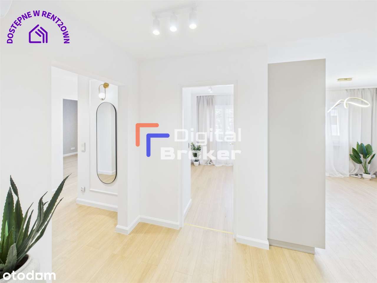 ⭐️Sady Żoliborskie⭐️Gotowe do wprowadzenia⭐️LUX⭐️ - Pełny obrazek: 2/19