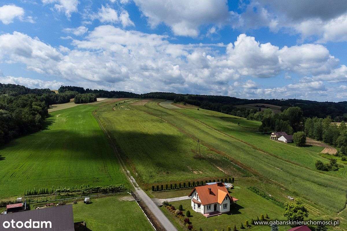DZIAŁKA BUDOWLANA 27 AR W OLSZYNACH gm. RZEPIENNIK - Pełny obrazek: 4/12