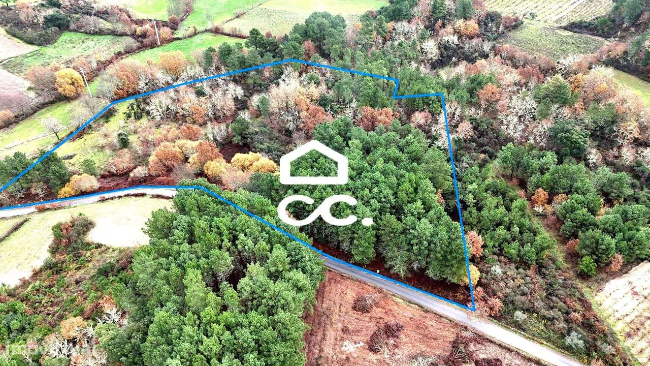 Terreno rústico com dois poço e vista privilegiada - Grande imagem: 2/16