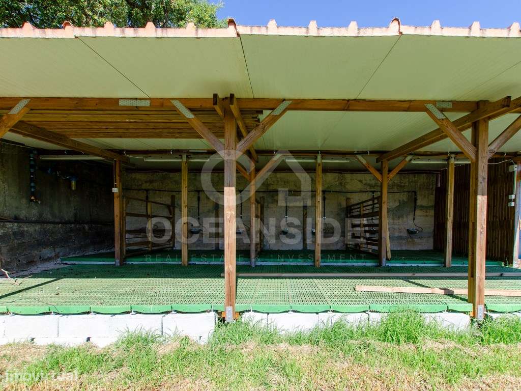 Quinta em Serradas, com terreno de 17.000m²-40