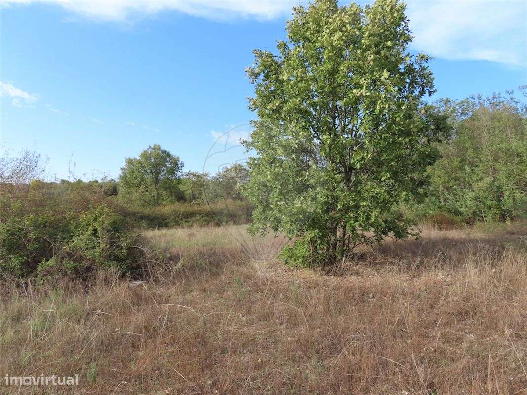 Quinta  para venda - Grande imagem: 5/25